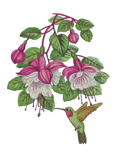 Design Embroidery Machine Patterns Design DIGITAL EMBROIDERY Fuchsia 1 Design Embroidery Machine Patterns Design DIGITAL EMBROIDERY Fuchsia