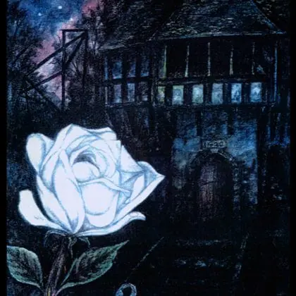 Sinister Tarot by Christos Beest 64 Cards