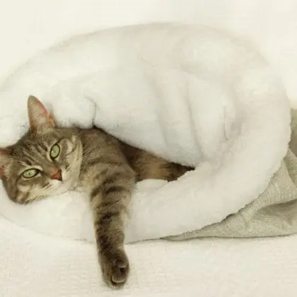 Cat bed sleeping bag,kitten bed,winter warm cat,pet products
