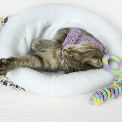 Cat bed sleeping bag, kitten bed, winter warm cat, pet products
