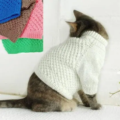 Cat sweater, cat clothing