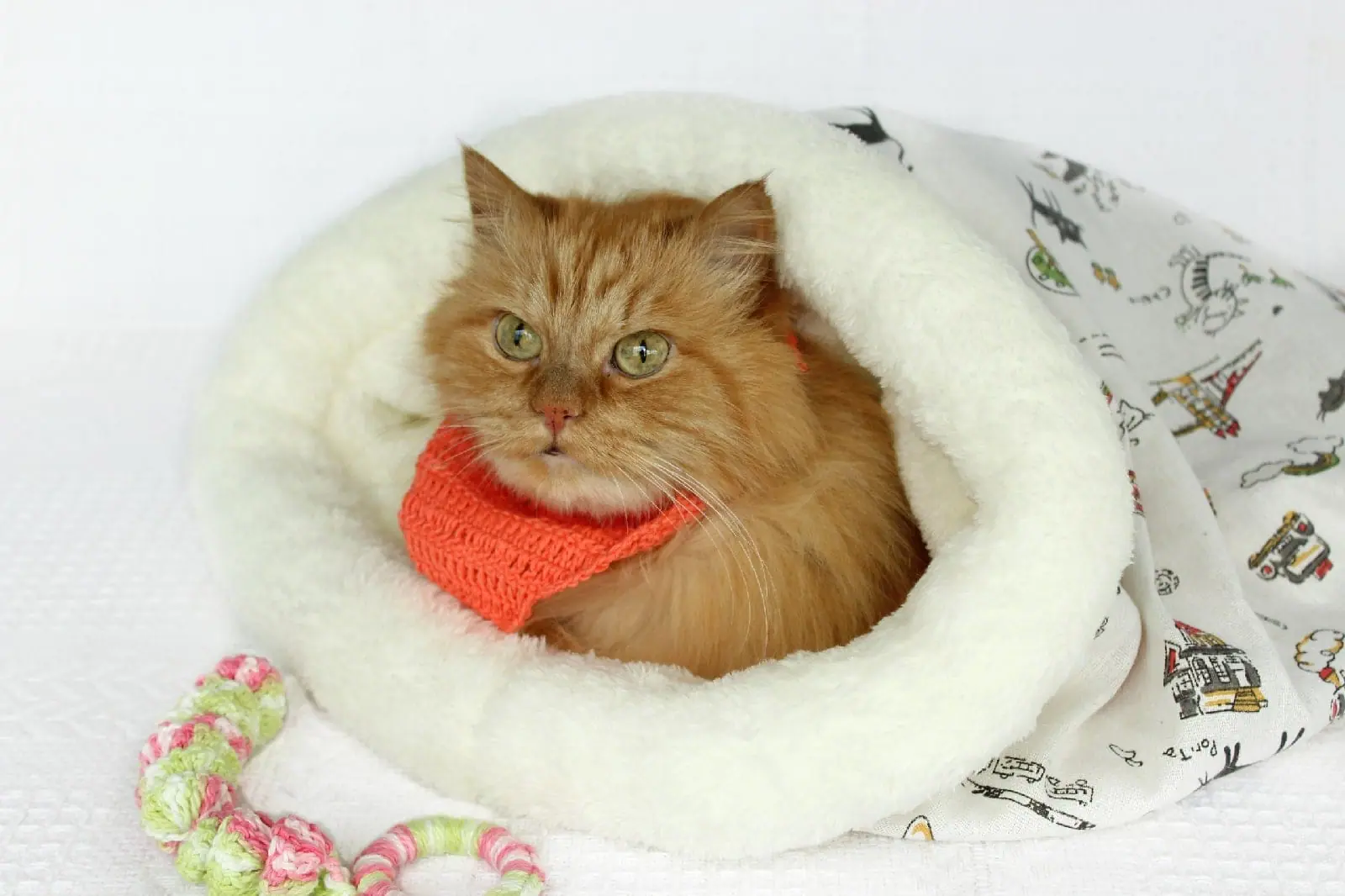 Cat bed sleeping bag, pet products 1 Cat bed sleeping bag, kitten bed, winter warm cat, pet products.