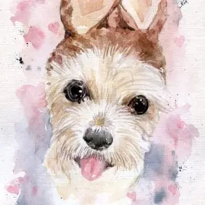 Sweet Bao Watercolor Painting Personal Listing