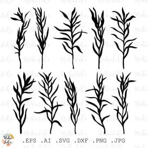 Tarragon Svg Silhouette Leaves Cricut Stencil Templates Dxf