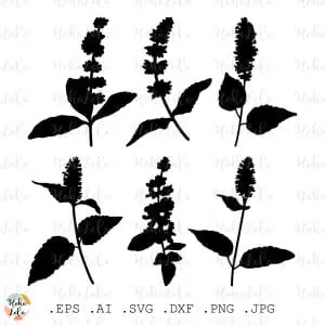 Patchoili Svg Silhouette Cricut Stencil Templates Dxf