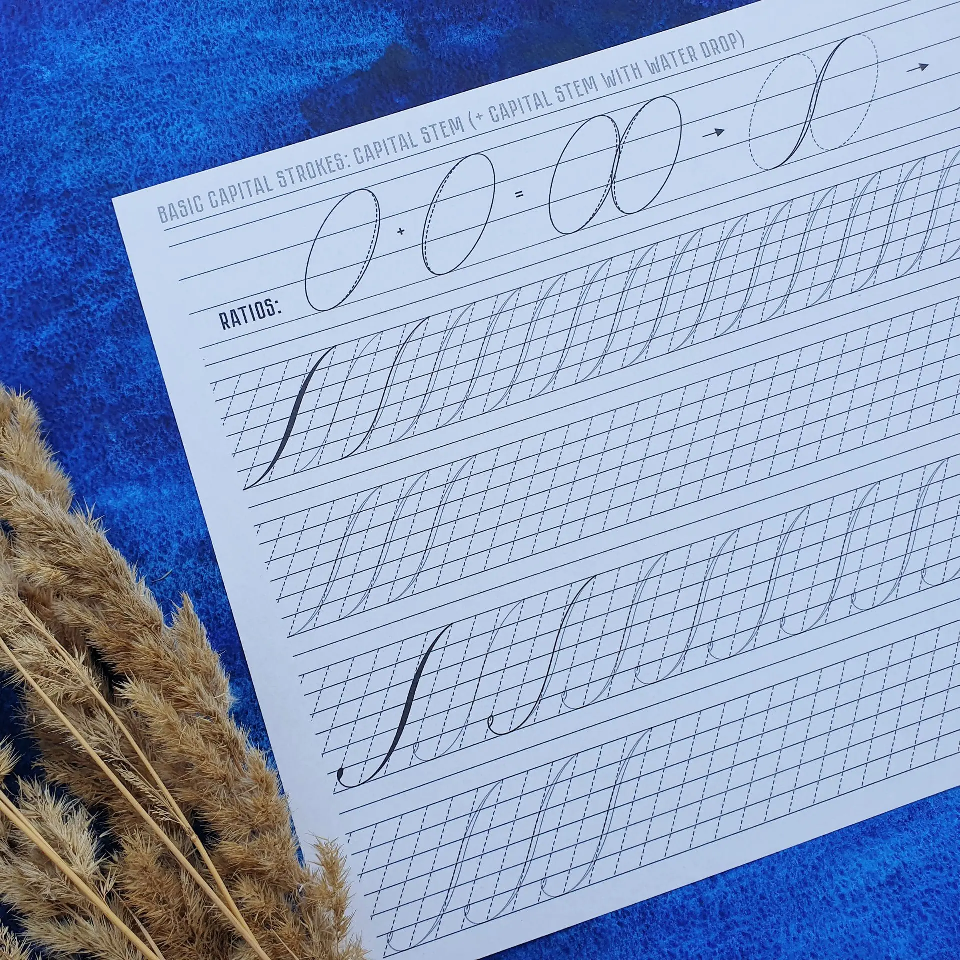 Faux Copperplate Calligraphy Basic strokes PDF Worksheets - Crealandia, image size:1920x1920