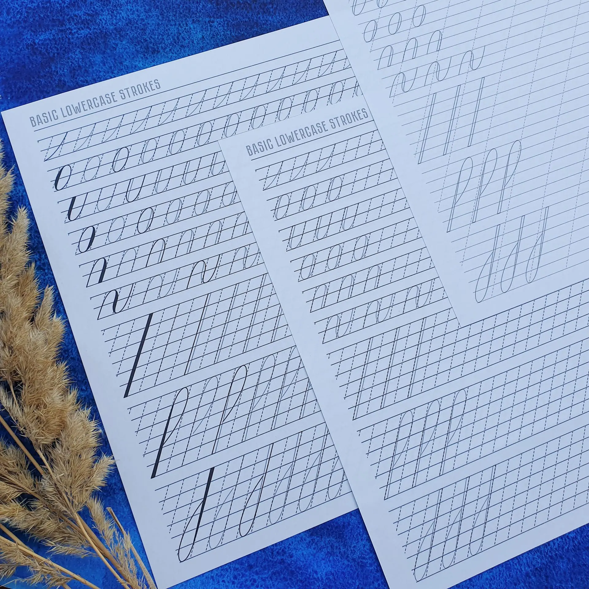 Faux Copperplate Calligraphy Basic strokes PDF Worksheets 9 09 Lettering Copperplate Calligraphy Basic Lowercase Strokes