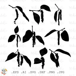 Black Pepper Svg Silhouette Cricut Stencil Templates Dxf
