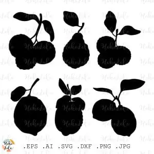 Bergamot Orange Svg Silhouette Cricut Stencil Templates Dxf
