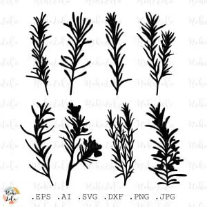 Rosemary Orange Svg Silhouette Cricut Stencil Templates Dxf