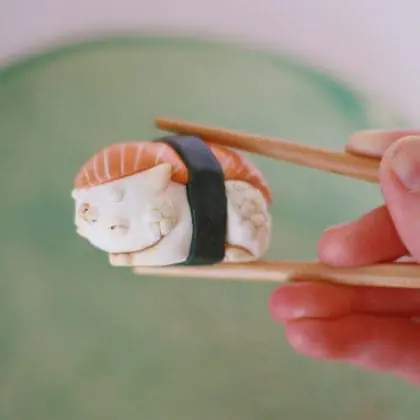 Sushi Cat