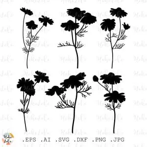 Chamomile Svg Silhouette Cricut Stencil Templates Dxf