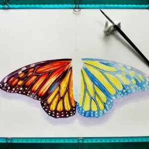 Butterfly Monarch Danaus plexippus painting,Colorful fashion art