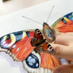 ButterFly Aglais io Nymphalidae, watercolor painting,original art