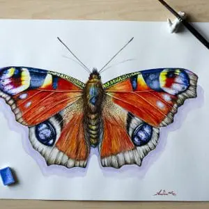 ButterFly Aglais io Nymphalidae, watercolor painting,original art