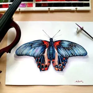 Butterfly Papilio maackii, watercolor painting, original art