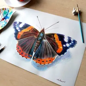 Butterfly Vanessa Atalanta Colorful acrylic original fine art