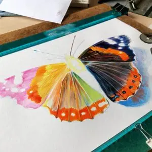Butterfly Vanessa Atalanta Colorful acrylic original fine art