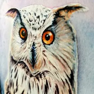 The Owl painting, fashion wall decor watercolor original art