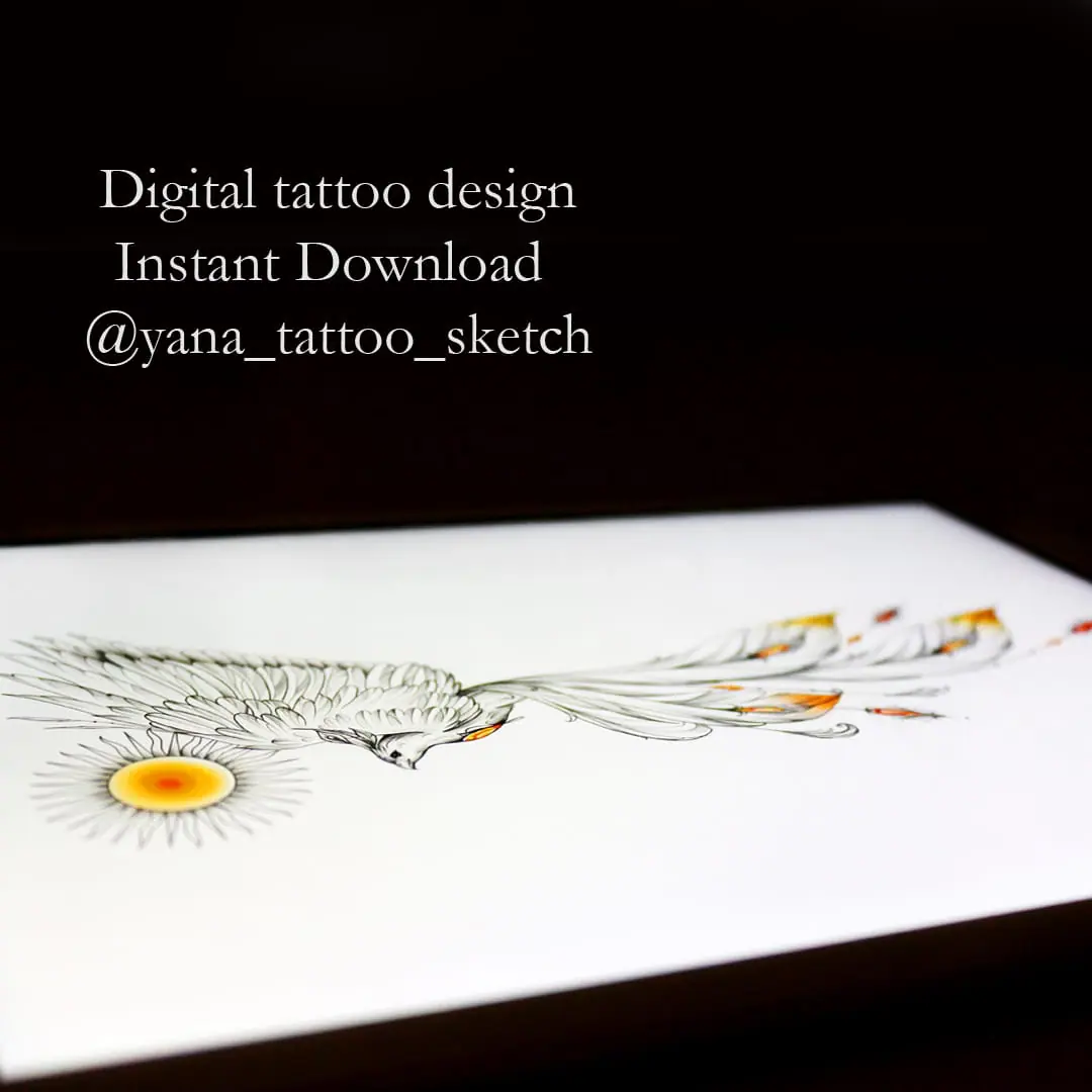Phoenix Tattoo Design Phoenix Sun Tattoo Idea Drawing Sketch 1 Phoenix Tattoo Design Phoenix Sun Tattoo Idea Drawing Sketch