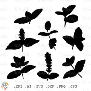 Mint Leaves Svg Silhouette Cricut Stencil Templates Dxf