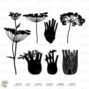 Fennel Svg Silhouette Cricut Stencil Templates Dxf