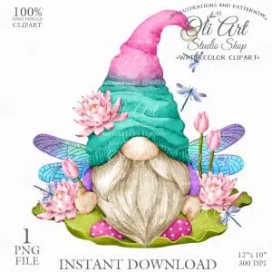 Dragonfly gnome clipart