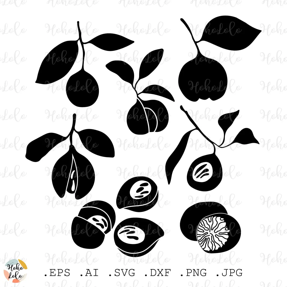 Nutmeg Svg Silhouette Cricut Stencil Templates Dxf