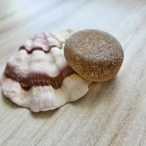 Sea glass bottom BR3