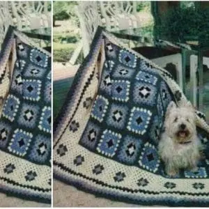 Vintage Crochet Pattern Afghan Contemporary Granny