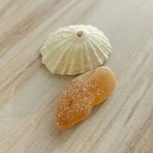 Color of 2024! genuine sea glass P166