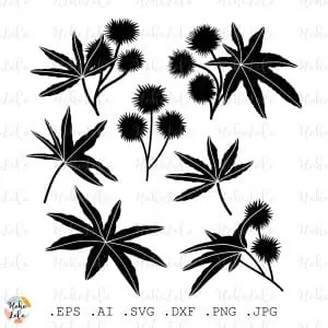 Castor Svg Silhouette Cricut Stencil Templates Dxf