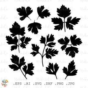 Parsley Svg Silhouette Cricut Stencil Templates Dxf