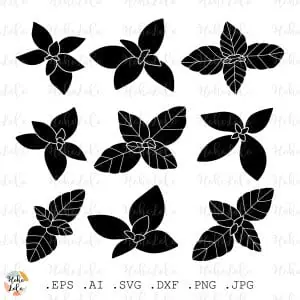 Basil Svg Silhouette Cricut Stencil Templates Dxf