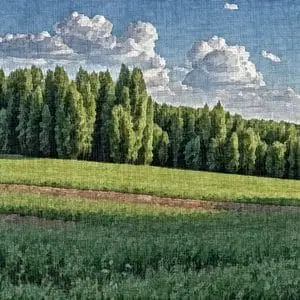 Painting – “Wild meadow”