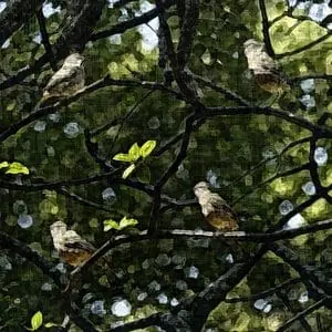 Painting - "Morning Song''