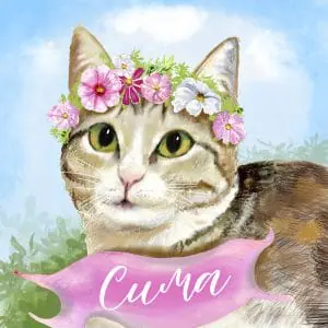 Pet portrait, cat portrait, Dog portrait, pet memorial