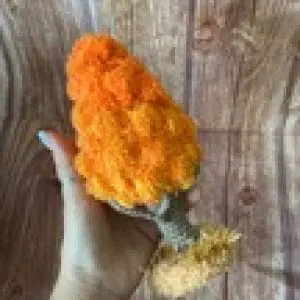 knitted tree ,forest knitted, knitted toys, farm animals