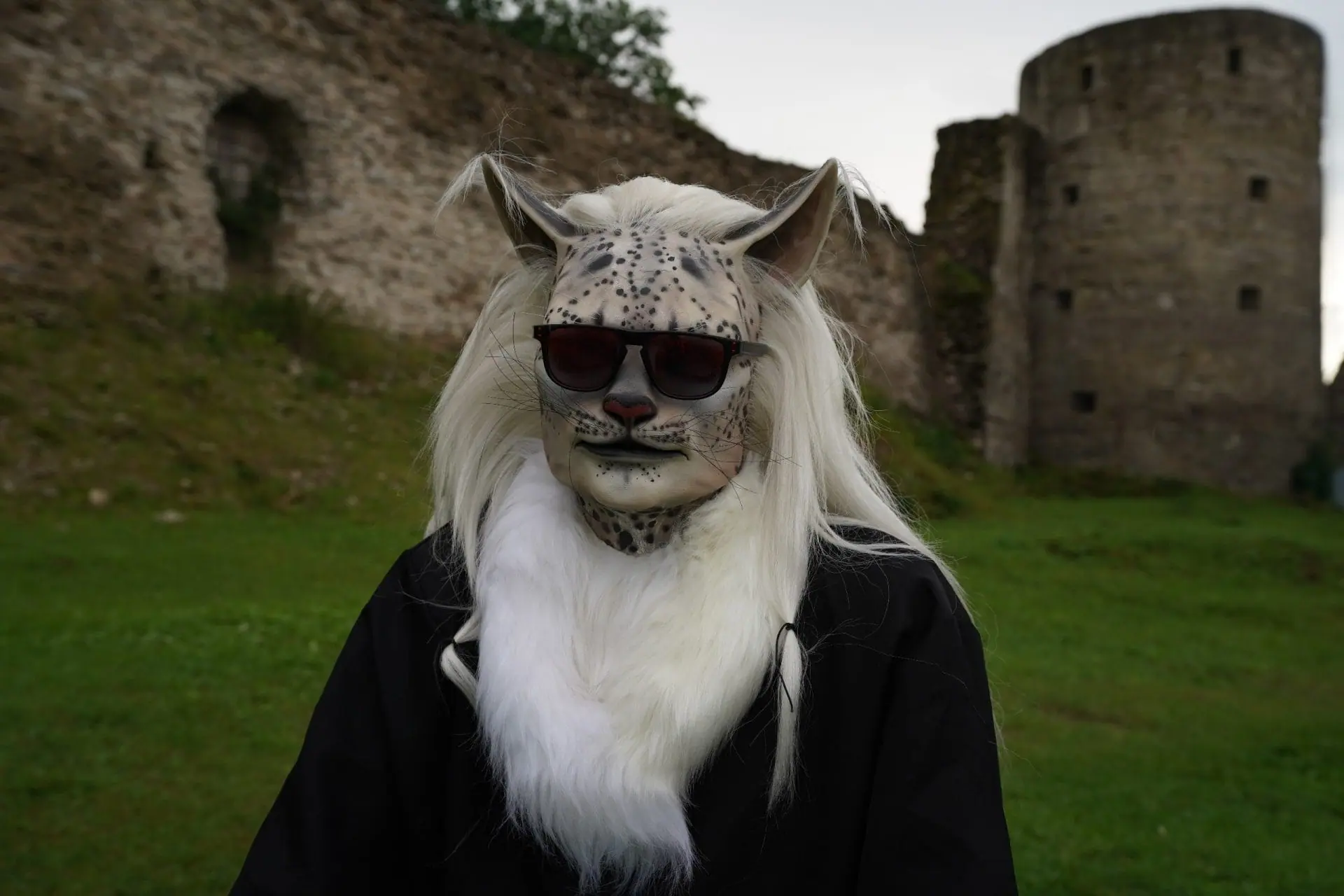 Khajiit silicone mask (realistic cat face for cosplay, performances, LARP etc)