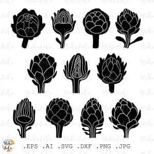 Artichoke Svg Silhouette Cricut Stencil Templates Dxf