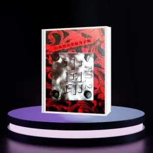 Hailin Fu vol.2