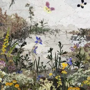 A landscape of pressed flowers and leaves «Forest Lake»