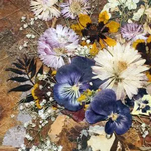 Autumn bouquet of pressed flowers and leaves