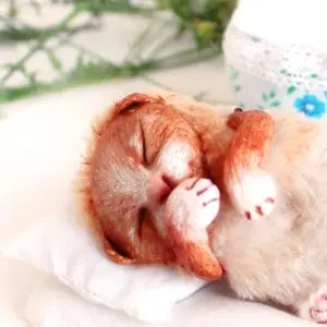 A small handmade kitten in a baby carriage