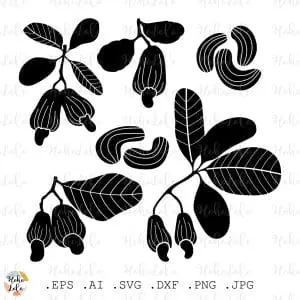 Cashews Svg Cricut Silhouette Stencil Template Dxf