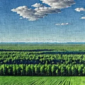 Painting - "Meadow's Embrace''