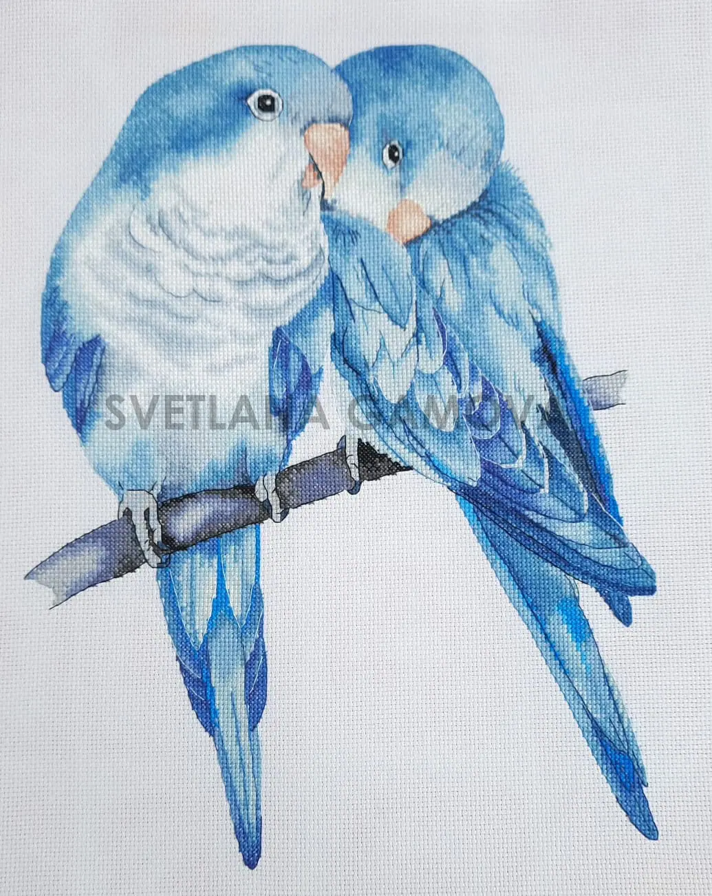 Blue quaker parrots Cross Stitch Pattern 2 Blue quaker parrots Cross Stitch Pattern - Image 2