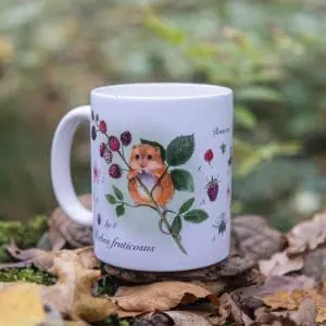 Ceramic Coffee Mug with Watercolour Harvest Mouse and Blackberry