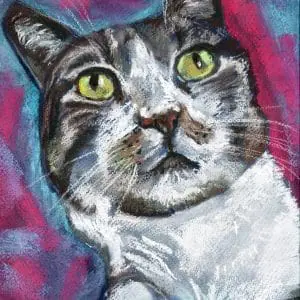 Pet portrait, cat, dog art, dry pastel art, custom art
