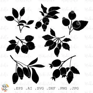 Rosehip Svg Cricut Silhouette Stencil Template Dxf
